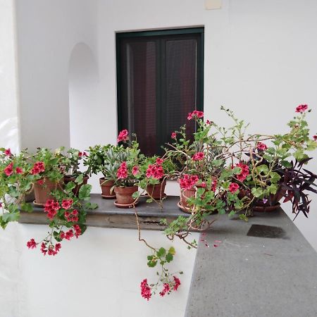 Casa De Angelis Orange & Blue Apartment Sant'Agnello Luaran gambar