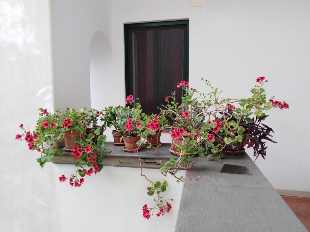 Casa De Angelis Orange & Blue Apartment Sant'Agnello Luaran gambar