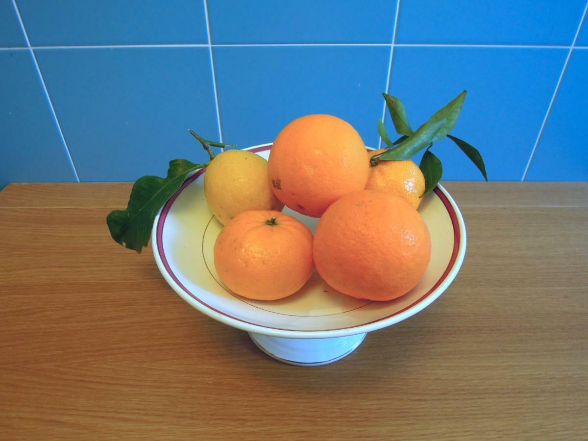 Casa De Angelis Orange & Blue Apartment Sant'Agnello Luaran gambar